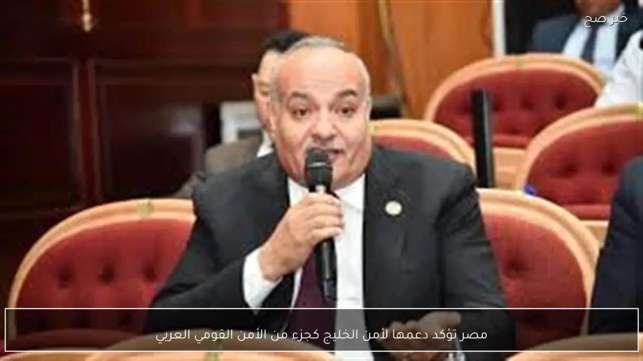 مصر تؤكد دعمها لأمن الخليج كجزء من الأمن القومي العربي