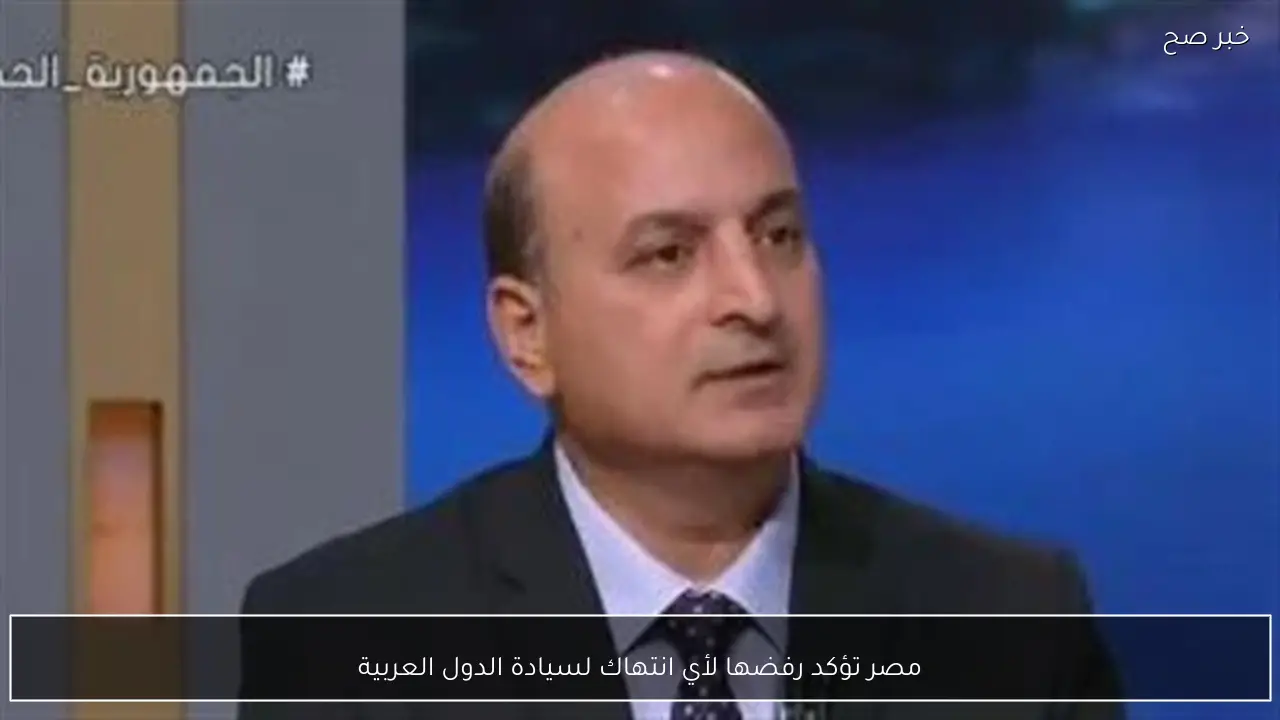 مصر تؤكد رفضها لأي انتهاك لسيادة الدول العربية