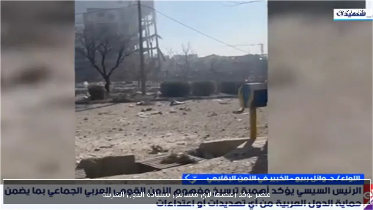 مصر تؤكد رفضها لأي مساس بسيادة الدول العربية