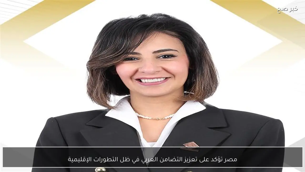 مصر تؤكد على تعزيز التضامن العربي في ظل التطورات الإقليمية