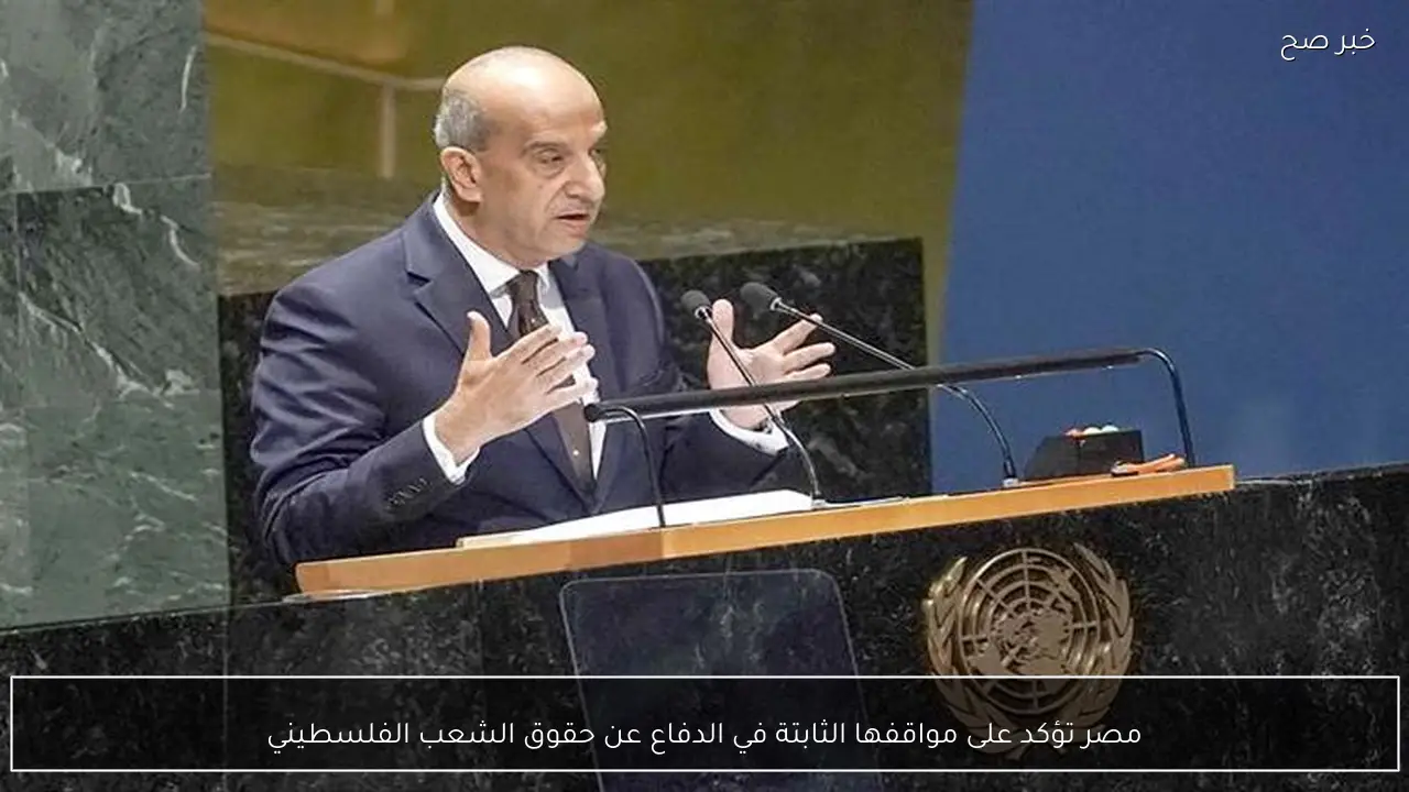 مصر تؤكد على مواقفها الثابتة في الدفاع عن حقوق الشعب الفلسطيني