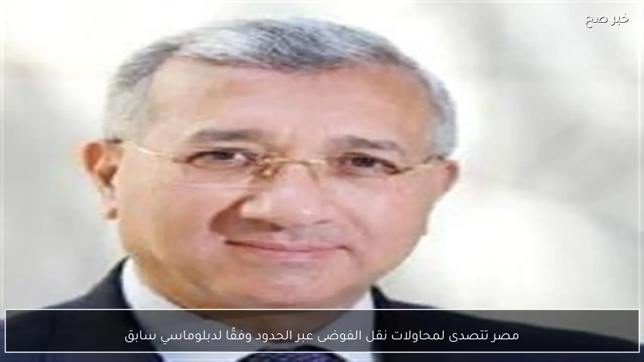 مصر تتصدى لمحاولات نقل الفوضى عبر الحدود وفقًا لدبلوماسي سابق