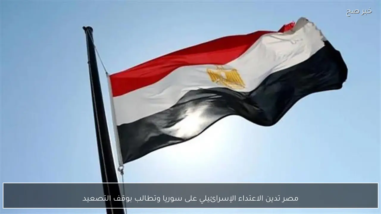 مصر تدين الاعتداء الإسرائيلي على سوريا وتطالب بوقف التصعيد