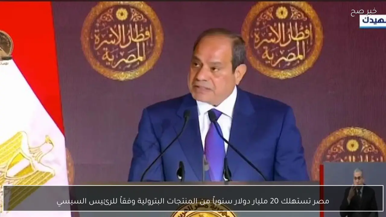مصر تستهلك 20 مليار دولار سنوياً من المنتجات البترولية وفقاً للرئيس السيسي