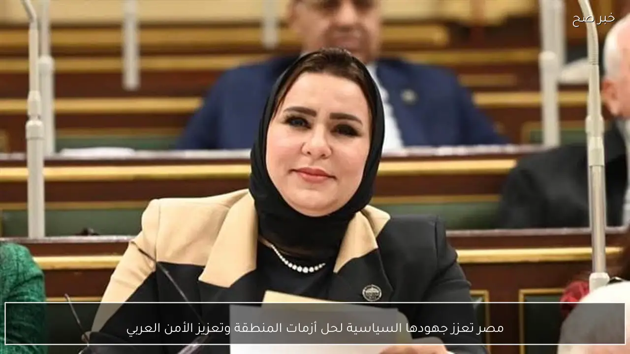 مصر تعزز جهودها السياسية لحل أزمات المنطقة وتعزيز الأمن العربي