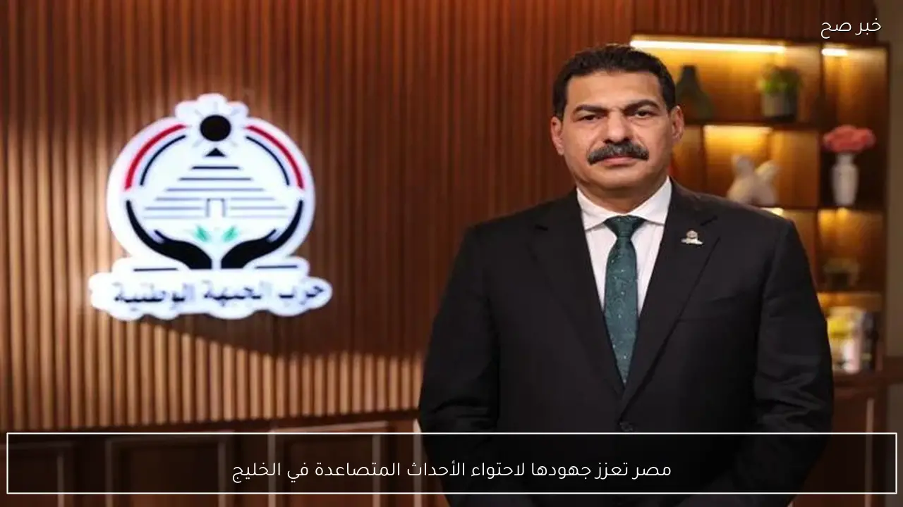 مصر تعزز جهودها لاحتواء الأحداث المتصاعدة في الخليج