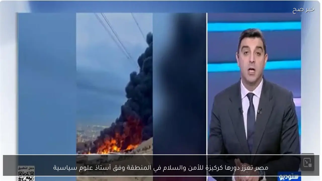 مصر تعزز دورها كركيزة للأمن والسلام في المنطقة وفق أستاذ علوم سياسية