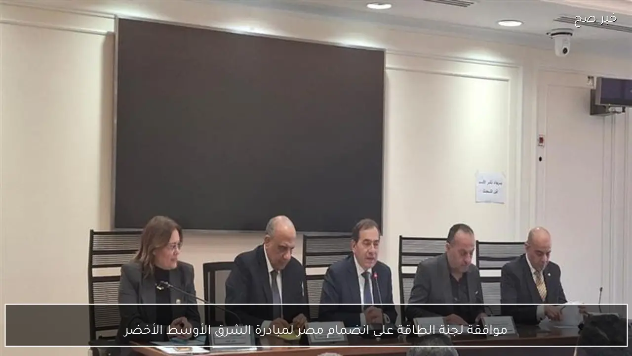 موافقة لجنة الطاقة على انضمام مصر لمبادرة الشرق الأوسط الأخضر