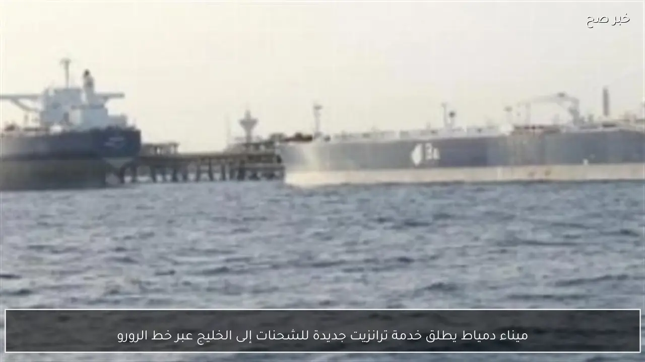 ميناء دمياط يطلق خدمة ترانزيت جديدة للشحنات إلى الخليج عبر خط الرورو