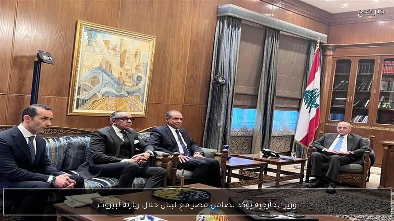 وزير الخارجية يؤكد تضامن مصر مع لبنان خلال زيارته لبيروت