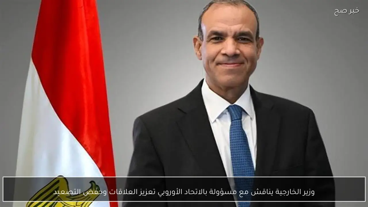 وزير الخارجية يناقش مع مسؤولة بالاتحاد الأوروبي تعزيز العلاقات وخفض التصعيد