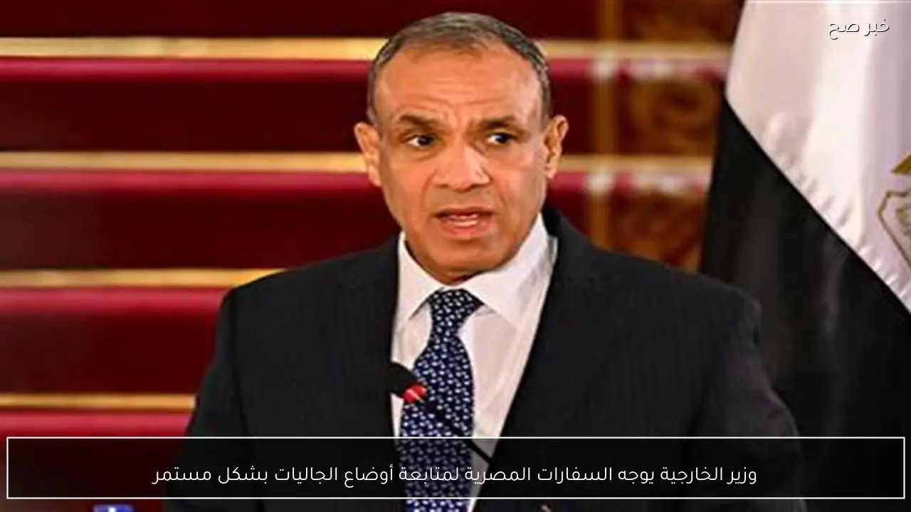 وزير الخارجية يوجه السفارات المصرية لمتابعة أوضاع الجاليات بشكل مستمر