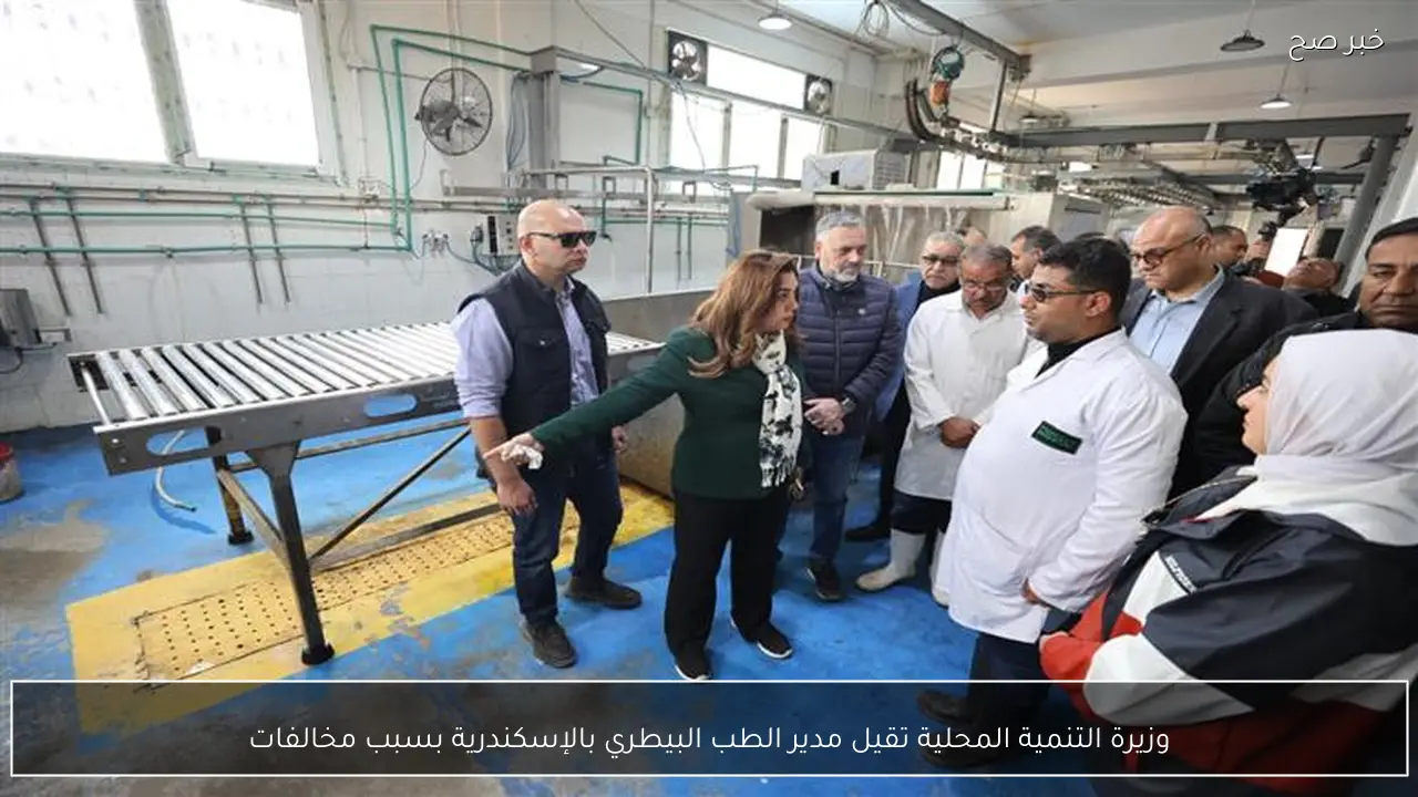 وزيرة التنمية المحلية تقيل مدير الطب البيطري بالإسكندرية بسبب مخالفات