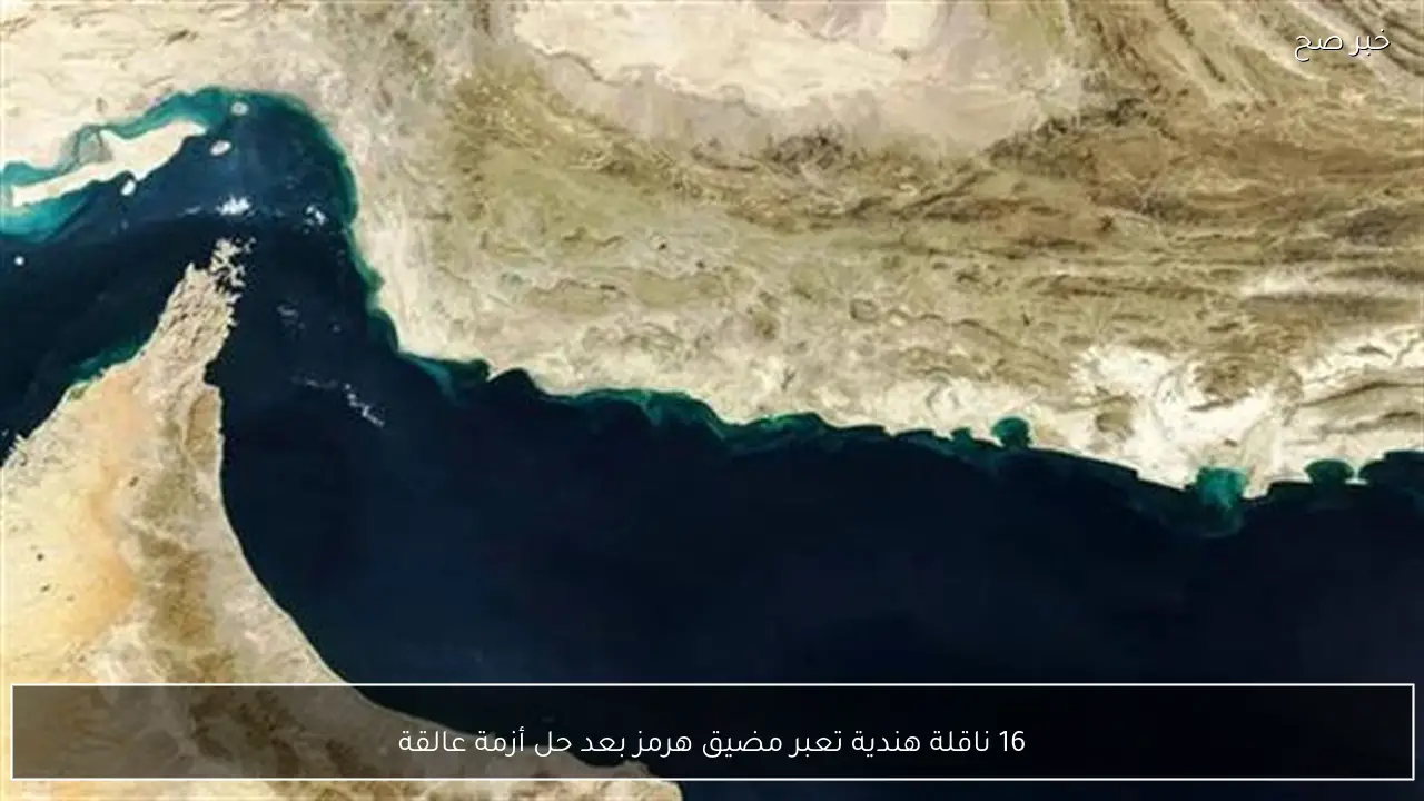 16 ناقلة هندية تعبر مضيق هرمز بعد حل أزمة عالقة