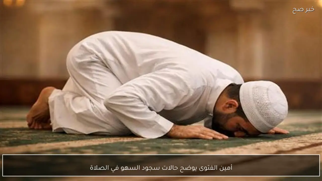 أمين الفتوى يوضح حالات سجود السهو في الصلاة