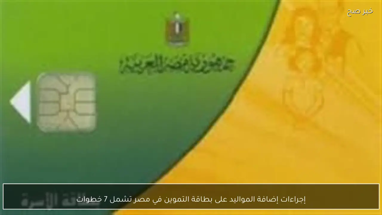 إجراءات إضافة المواليد على بطاقة التموين في مصر تشمل 7 خطوات