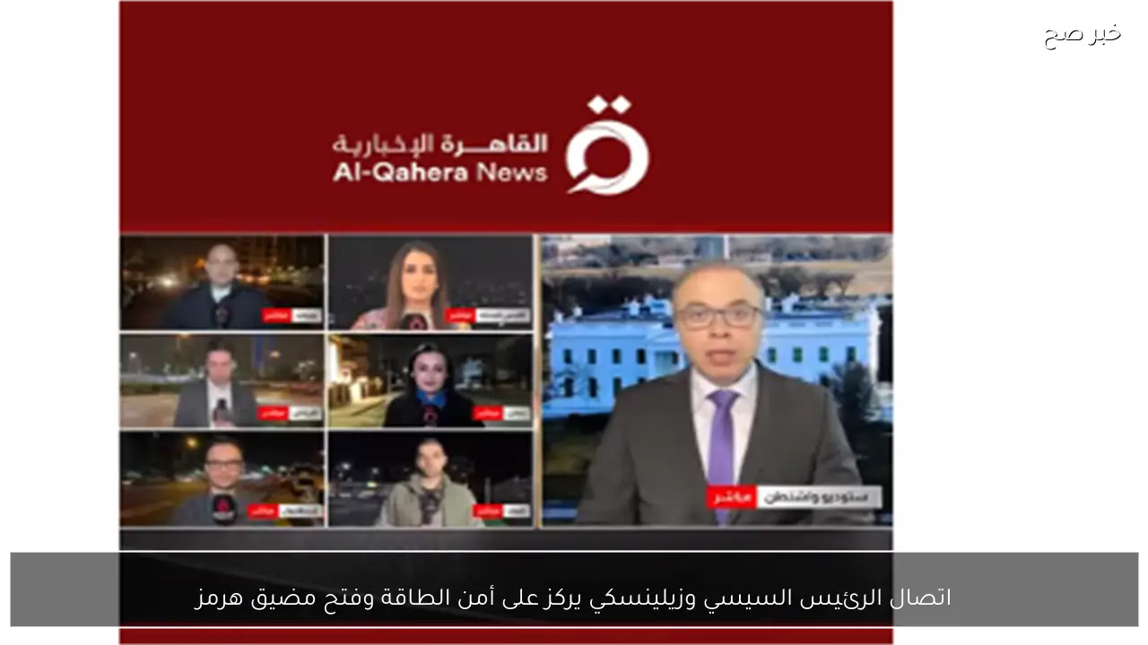 اتصال الرئيس السيسي وزيلينسكي يركز على أمن الطاقة وفتح مضيق هرمز