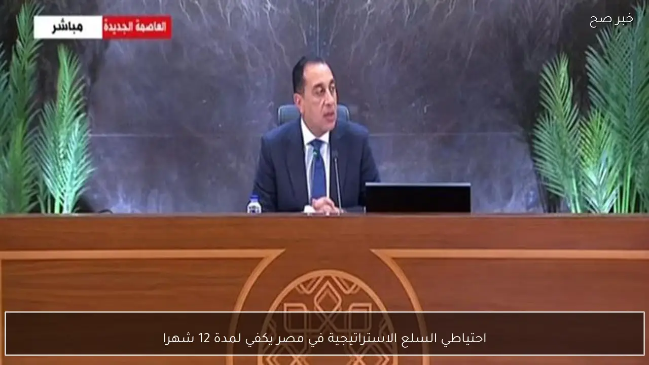 احتياطي السلع الاستراتيجية في مصر يكفي لمدة 12 شهرا