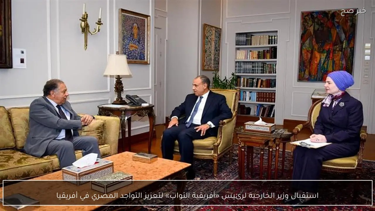 استقبال وزير الخارجية لرئيس «أفريقية النواب» لتعزيز التواجد المصري في أفريقيا