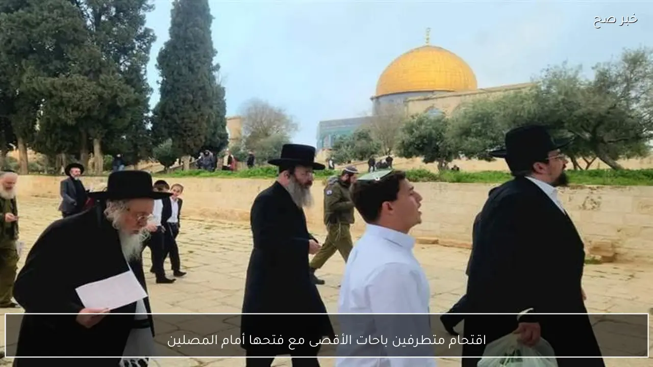 اقتحام متطرفين باحات الأقصى مع فتحها أمام المصلين