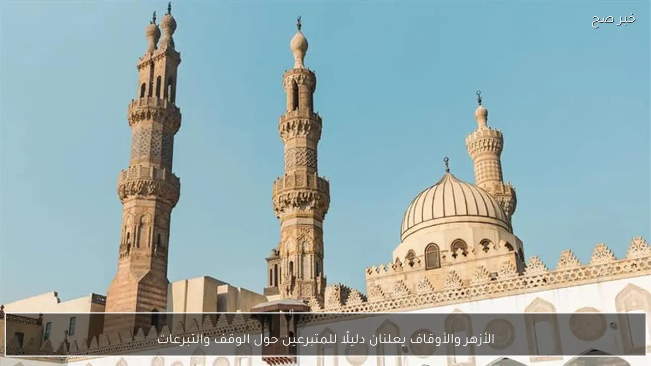 الأزهر والأوقاف يعلنان دليلًا للمتبرعين حول الوقف والتبرعات