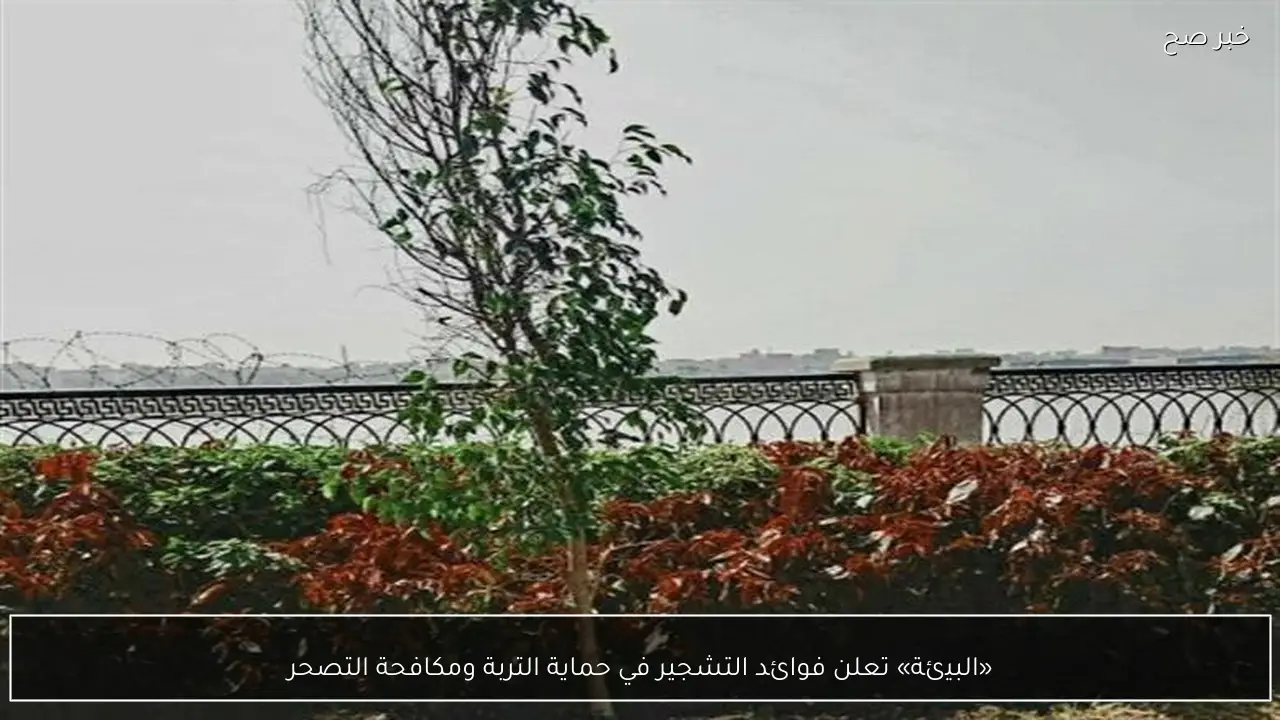 «البيئة» تعلن فوائد التشجير في حماية التربة ومكافحة التصحر