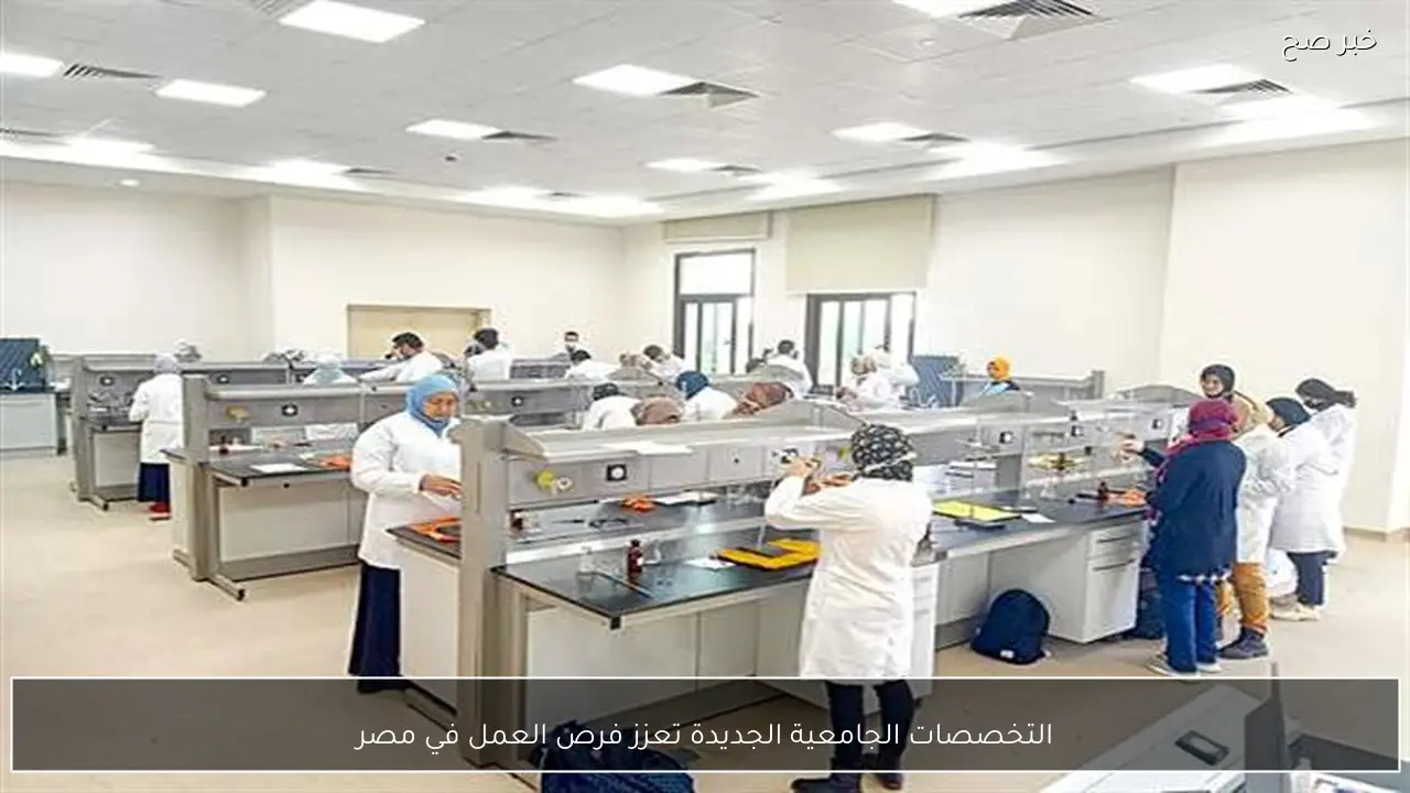 التخصصات الجامعية الجديدة تعزز فرص العمل في مصر
