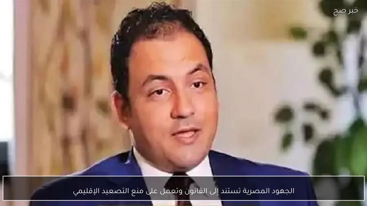 الجهود المصرية تستند إلى القانون وتعمل على منع التصعيد الإقليمي