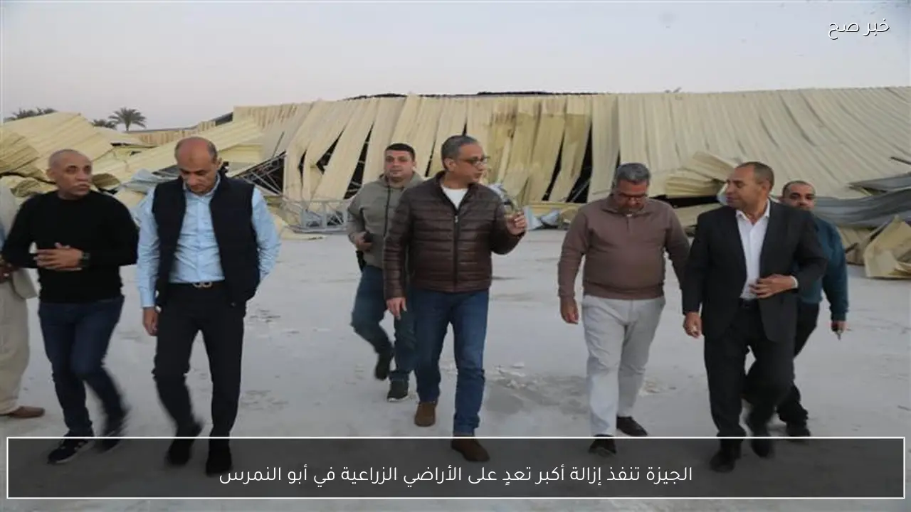 الجيزة تنفذ إزالة أكبر تعدٍ على الأراضي الزراعية في أبو النمرس