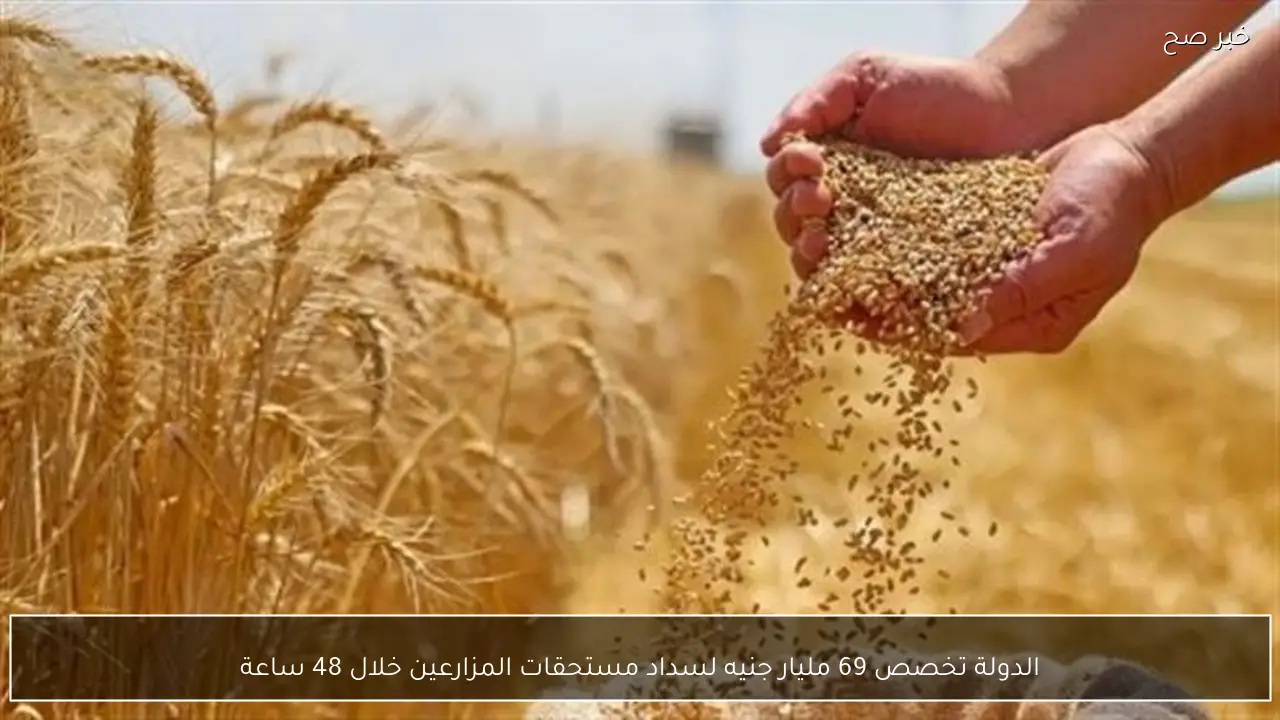 الدولة تخصص 69 مليار جنيه لسداد مستحقات المزارعين خلال 48 ساعة