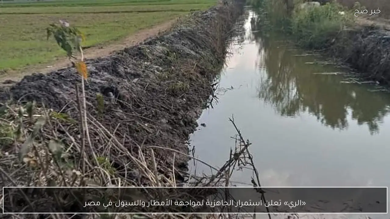 «الري» تعلن استمرار الجاهزية لمواجهة الأمطار والسيول في مصر