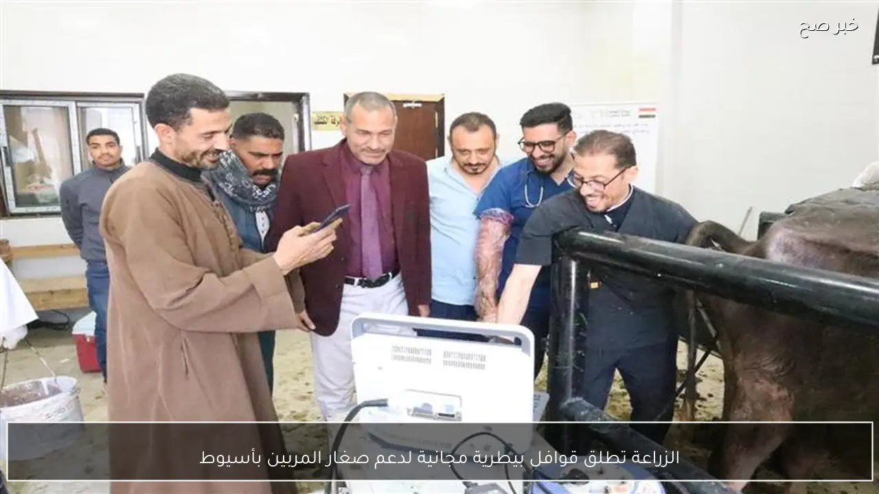 الزراعة تطلق قوافل بيطرية مجانية لدعم صغار المربين بأسيوط