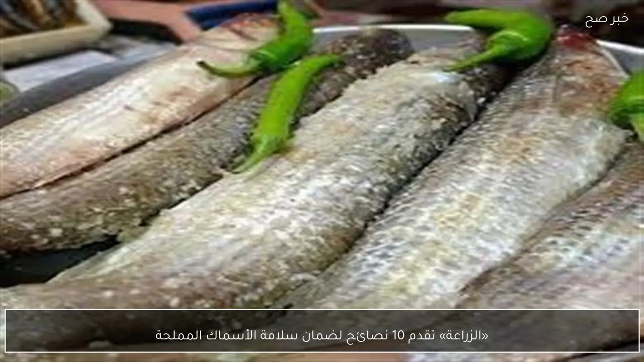 «الزراعة» تقدم 10 نصائح لضمان سلامة الأسماك المملحة