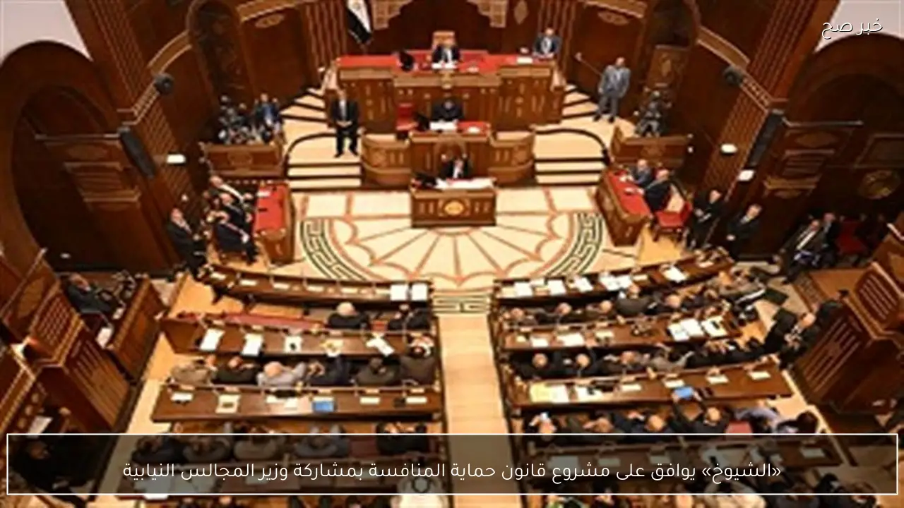 «الشيوخ» يوافق على مشروع قانون حماية المنافسة بمشاركة وزير المجالس النيابية