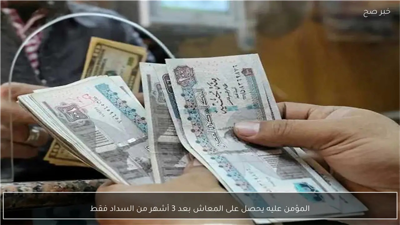 المؤمن عليه يحصل على المعاش بعد 3 أشهر من السداد فقط