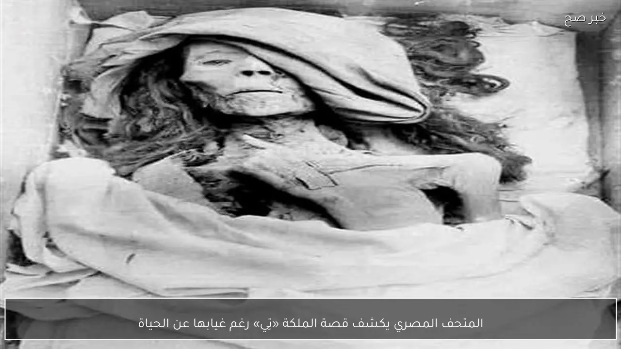 المتحف المصري يكشف قصة الملكة «تِي» رغم غيابها عن الحياة