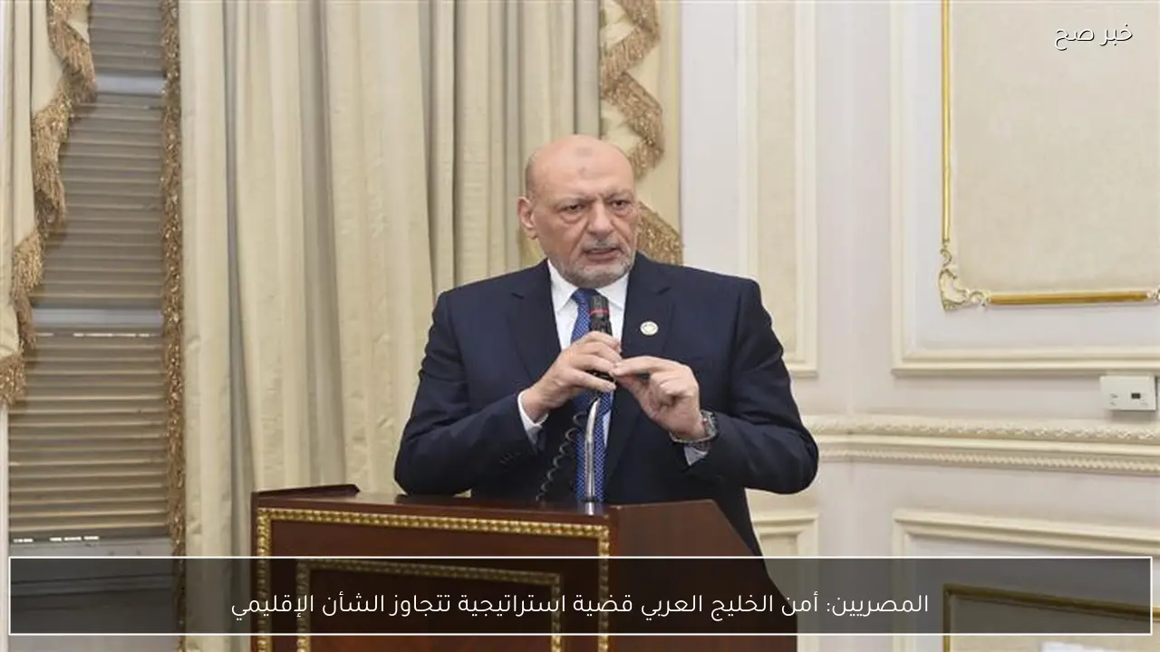 المصريين: أمن الخليج العربي قضية استراتيجية تتجاوز الشأن الإقليمي