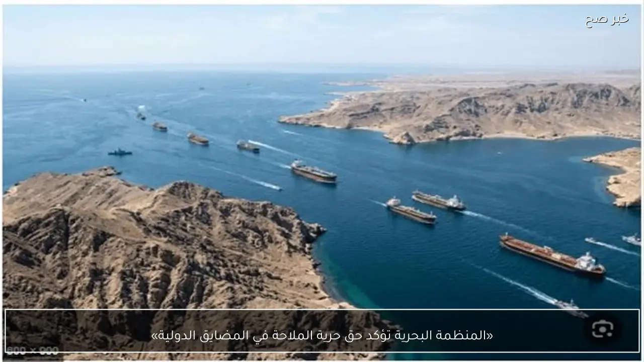 «المنظمة البحرية تؤكد حق حرية الملاحة في المضايق الدولية»