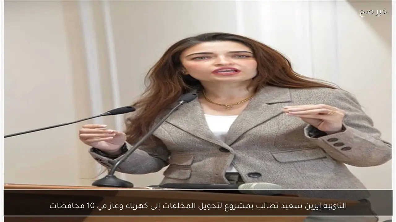 النائبة إيرين سعيد تطالب بمشروع لتحويل المخلفات إلى كهرباء وغاز في 10 محافظات
