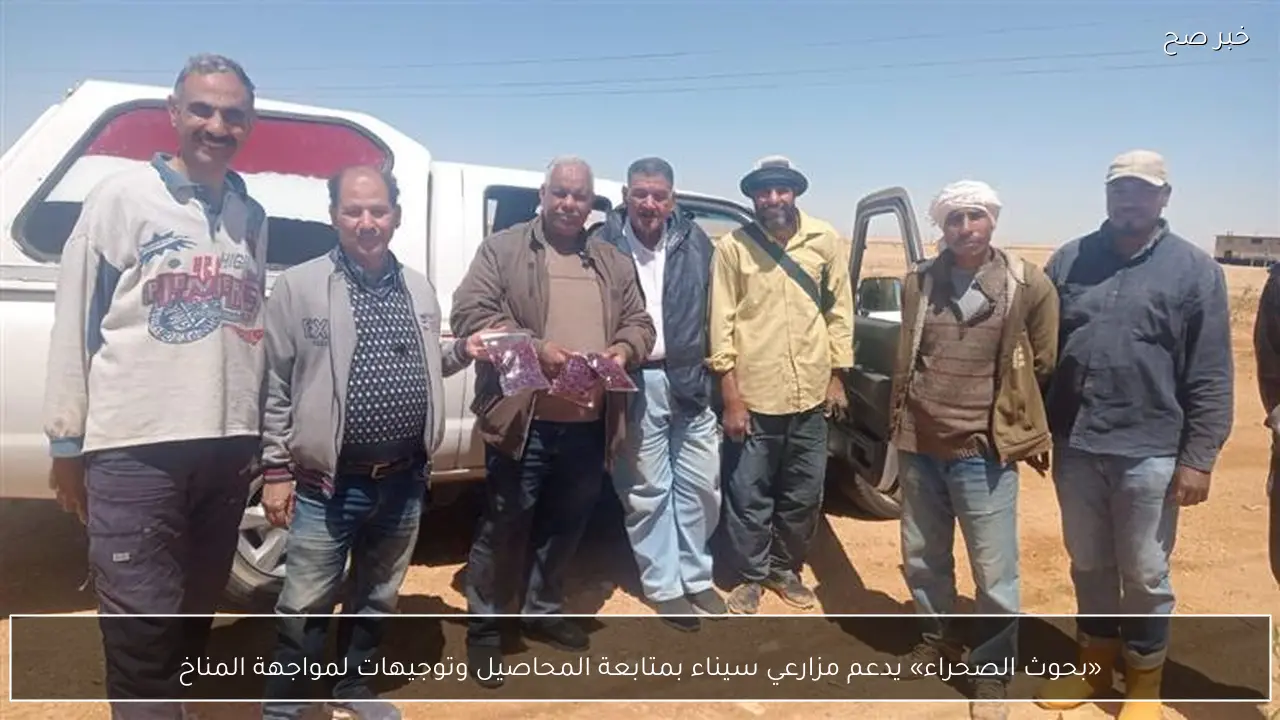 «بحوث الصحراء» يدعم مزارعي سيناء بمتابعة المحاصيل وتوجيهات لمواجهة المناخ