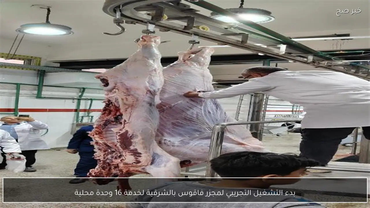 بدء التشغيل التجريبي لمجزر فاقوس بالشرقية لخدمة 16 وحدة محلية