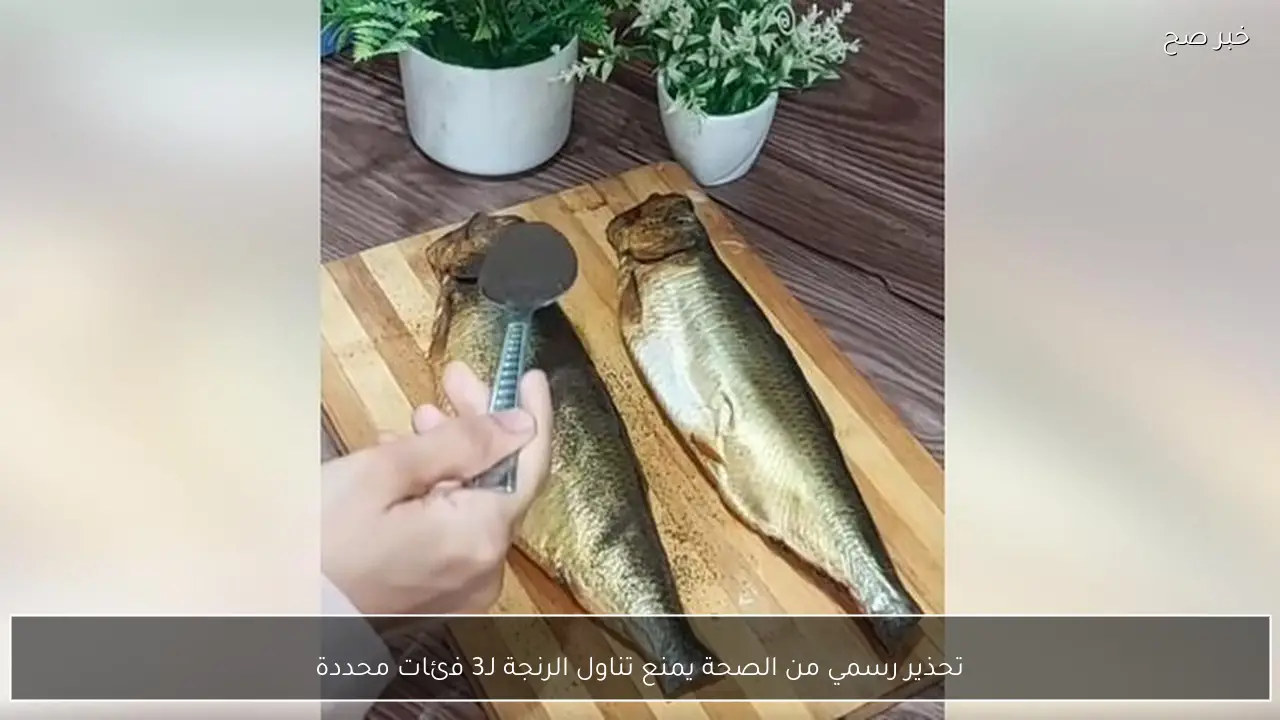 تحذير رسمي من الصحة يمنع تناول الرنجة لـ3 فئات محددة