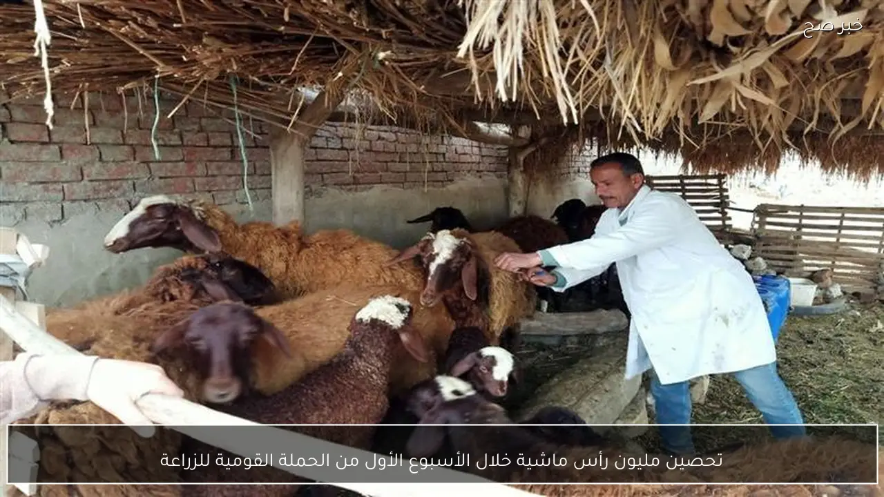 تحصين مليون رأس ماشية خلال الأسبوع الأول من الحملة القومية للزراعة