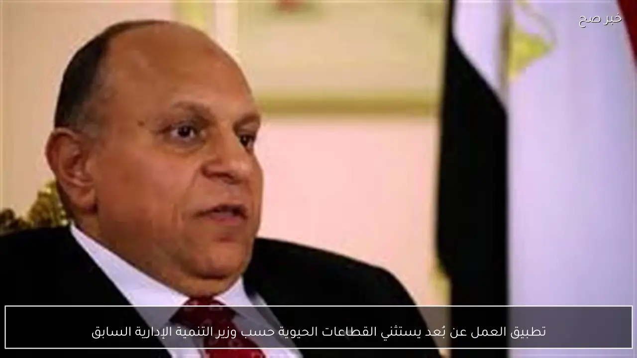 تطبيق العمل عن بُعد يستثني القطاعات الحيوية حسب وزير التنمية الإدارية السابق