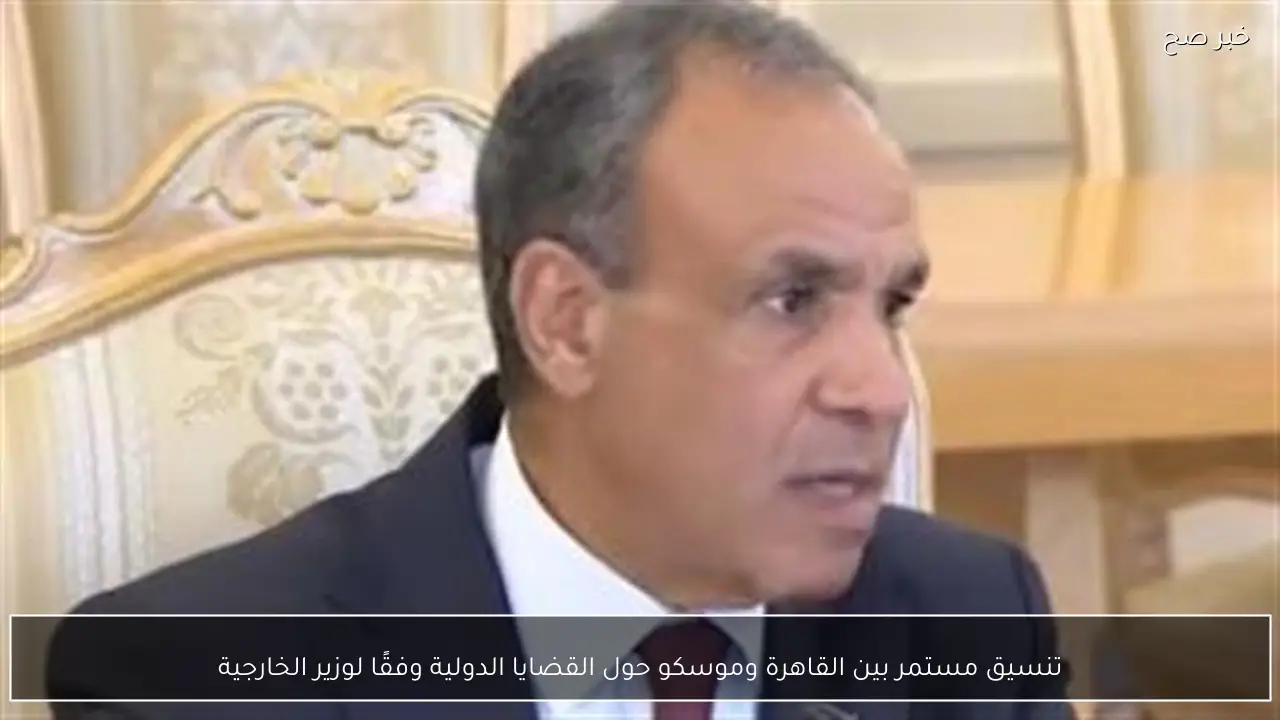 تنسيق مستمر بين القاهرة وموسكو حول القضايا الدولية وفقًا لوزير الخارجية