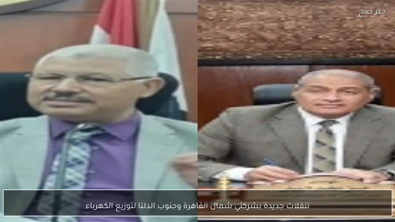 تنقلات جديدة بشركتي شمال القاهرة وجنوب الدلتا لتوزيع الكهرباء