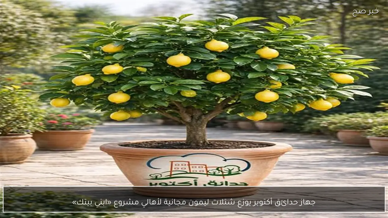 جهاز حدائق أكتوبر يوزع شتلات ليمون مجانية لأهالي مشروع «ابني بيتك»