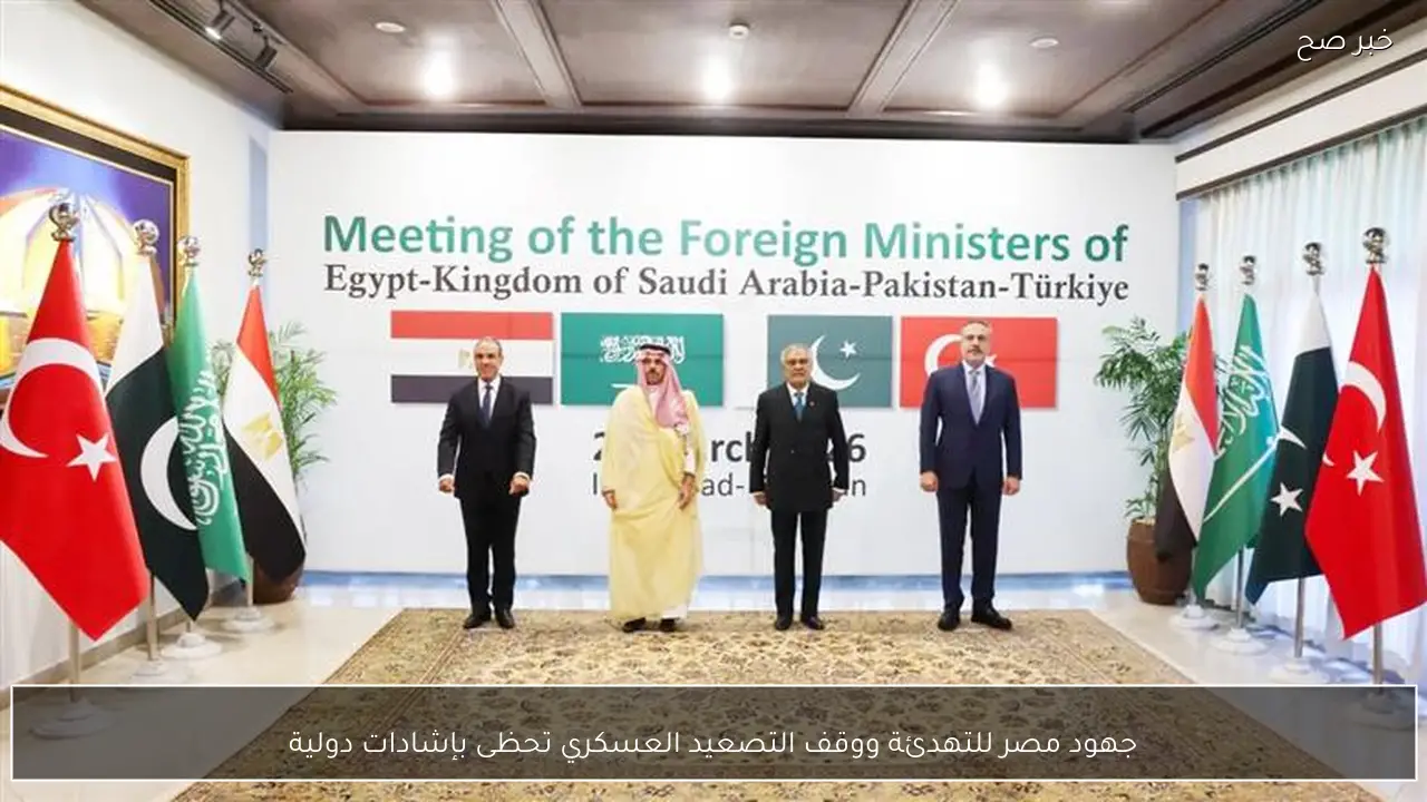 جهود مصر للتهدئة ووقف التصعيد العسكري تحظى بإشادات دولية