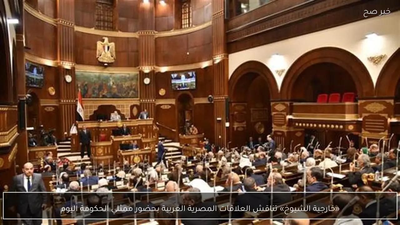 «خارجية الشيوخ» تناقش العلاقات المصرية العربية بحضور ممثلي الحكومة اليوم