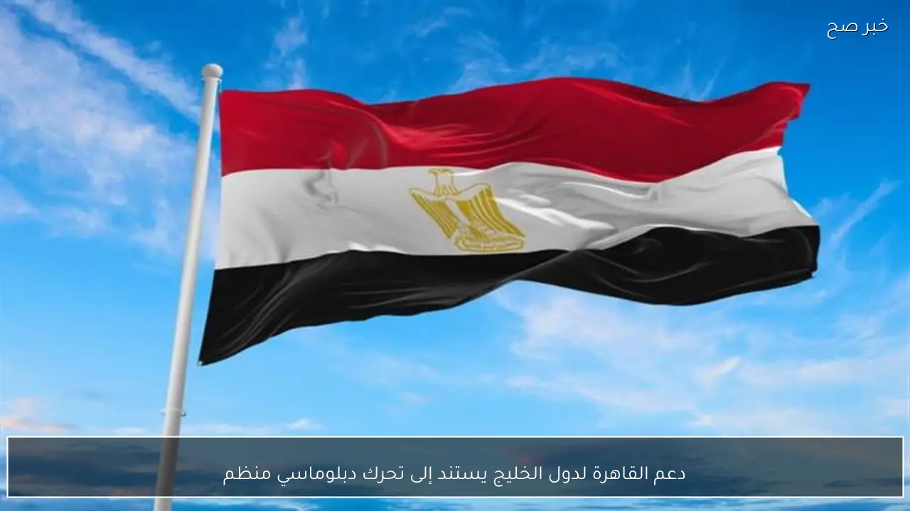 دعم القاهرة لدول الخليج يستند إلى تحرك دبلوماسي منظم